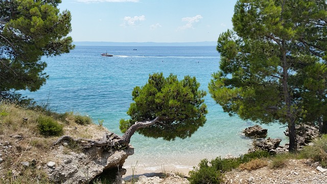 Gradac: jedno z nejoblíbenějších letovisek Makarské Riviéry