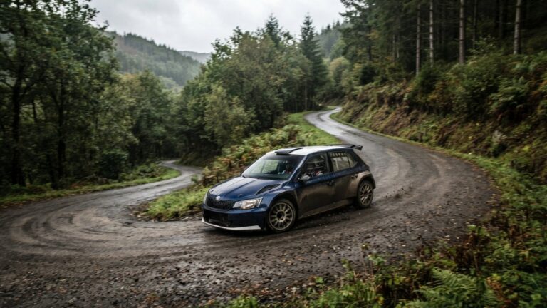 Zavodni automobil v zatacce na lesni asfaltce