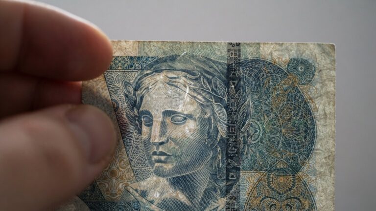 Detail bankovkoveho papiru proti svetlu
