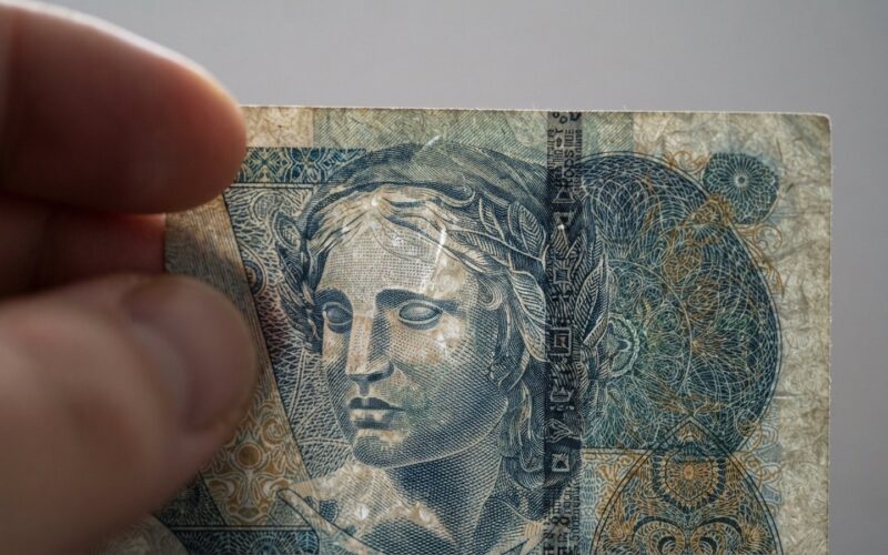 Detail bankovkoveho papiru proti svetlu