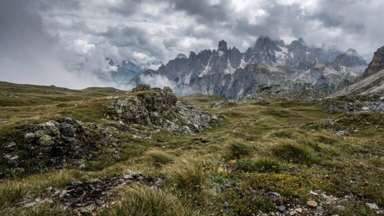 Alpinska houl nad hranici lesa se skalnimi vychozy